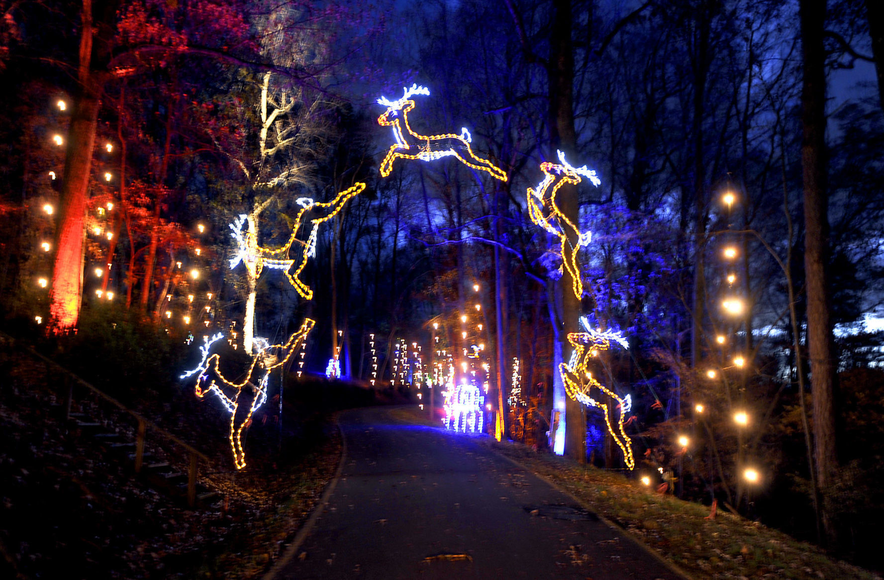FESTIVAL OF LIGHTS 2008
